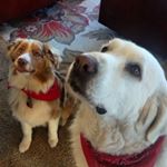 Profile Picture of Robin Skipper (@robin.skipper.90) on Instagram