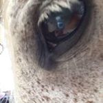 Profile Picture of Florence Lainé (@laine_florence) on Instagram