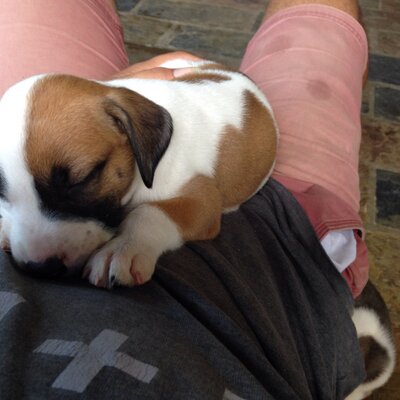 Profile Picture of Nathan Fraser (@nathanfraser28) on Twitter