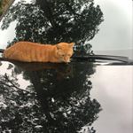 Profile Picture of 馬克 吳 (@mark.caine) on Instagram