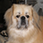 Profile Picture of Ruby Jones (@baytowntexaslady) on Flickr