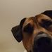 Profile Picture of Mark Fishbach (@mark.fishbach.7568) on Facebook