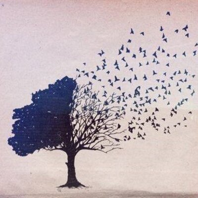 Profile Picture of Iva Gergova (@IvaGergova) on Twitter