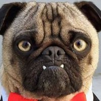 Profile Picture of Joseph Beim (@joseph-beim) on Quora