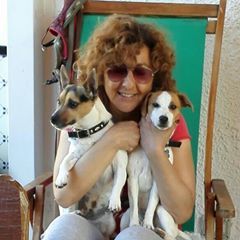 Profile Picture of Angela Mistretta (@angelamistretta1) on Tiktok