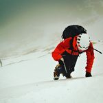 Profile Picture of Gavin Curran (@gavycn) on Instagram