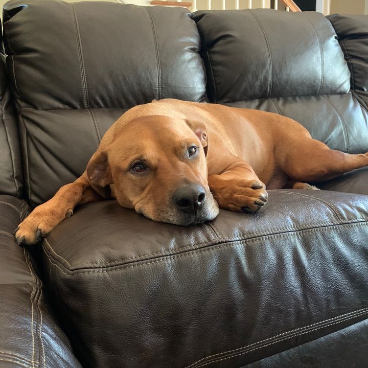 Profile Picture of Andrew (@andrew.ehrlich) on Tiktok