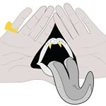 Profile Picture of Thomas Kollie (@thekollie) on Instagram