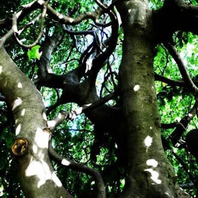 Casey McGuire - Twitter Profile Picture of Casey McGuire (@CaseyA63) on Twitter