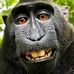 Profile Picture of Patrick Reagan (@patrick.reagan.33) on Facebook