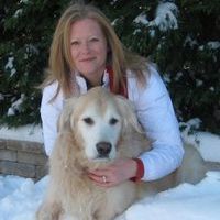Profile Picture of Jennifer 'Ferguson' Willson (@monarchs_joy) on Pinterest