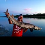Profile Picture of Robin Ginter (@gusbus51) on Instagram