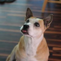 Profile Picture of Chad Frasier (@chad-frasier) on Quora