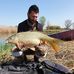 Profile Picture of Daniele Arena (@daniele.arena.106) on Facebook