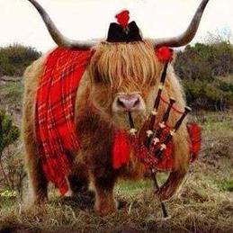 Profile Picture of Dave Skilling (@SkillingDave) on Twitter