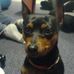 Profile Picture of Reggie Schmeiderer (Reggie) (@reggie.schmeiderer) on Facebook
