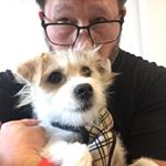 Profile Picture of Tim Tanner (@tim_and_baileys_adventures) on Instagram