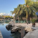 Profile Picture of Kevin De Konink (@Kevin-De-Konink) on Facebook