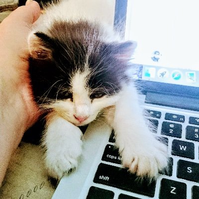 Profile Picture of Sophie Graham (@highlandtimes) on Twitter