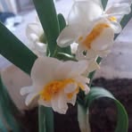 Profile Picture of Alaa Abas (@Alaa-Abas) on Facebook