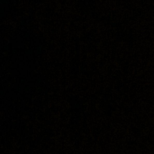 Steven Scheckel - Tiktok Profile Picture of Steven Scheckel (@stevenscheckel) on Tiktok