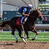 Profile Picture of Lindsey Hebert (@lindsey-hebert) on Quora