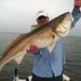 Profile Picture of David Sturdivant (@davids6556) on Pinterest