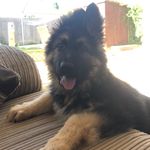 Profile Picture of Marshall Fox (@marshallfoxofficial) on Instagram
