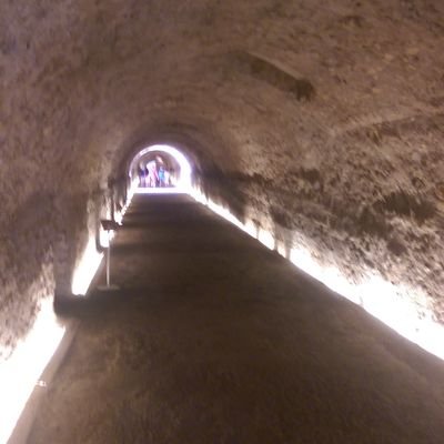 Profile Picture of Andrew Halsall Smith (@a_halsall_smith) on Twitter