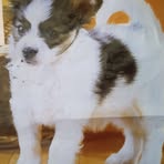 John Vianney - Facebook Profile Picture of John Vianney (@john.vianney.790068) on Facebook