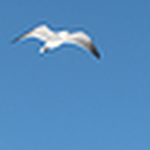 Profile Picture of Marcus Graves (@m.e.graves) on Flickr