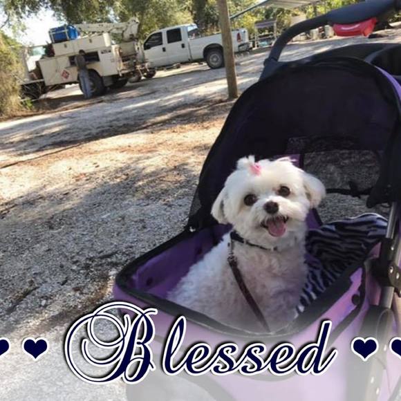 Profile Picture of Pamela Abbott (@pamelaabbott1) on Poshmark