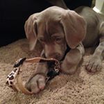 Profile Picture of Kevin H Gropp (@kevinhgropp) on Instagram