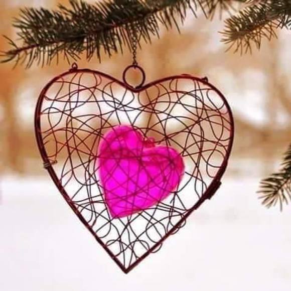 Profile Picture of Adriana Maciel (@adrimaciel) on Poshmark