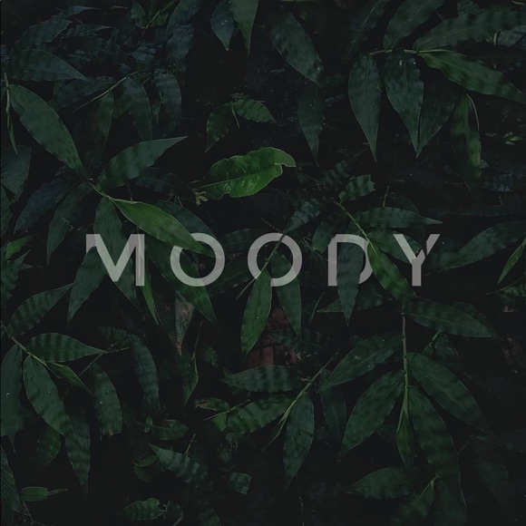 Profile Picture of Nadia Al-aasm (@nadia1717) on Poshmark