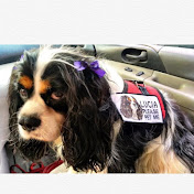 Profile Picture of Paula Stacey (@paulastacey6649) on Youtube