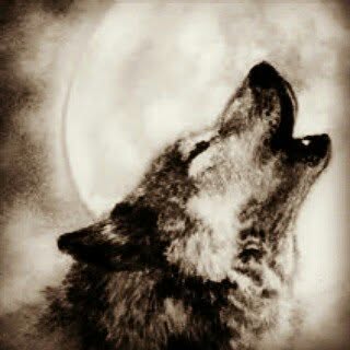 Profile Picture of andrew borquez (@andrew.borquez) on Instagram