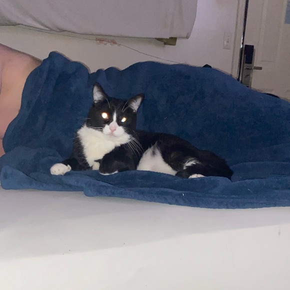 Profile Picture of Jennifer Acosta (@boosieboy) on Poshmark