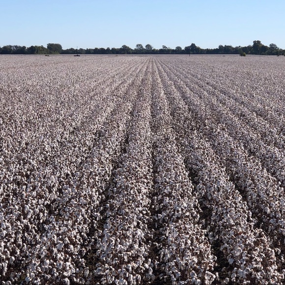 Profile Picture of Josh Lancaster (@jlan6) on Poshmark