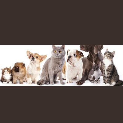 Profile Picture of John Willemsen (@merrywenger001) on Twitter