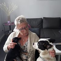 Profile Picture of Kläre Wagner (@awagneraachen) on Pinterest