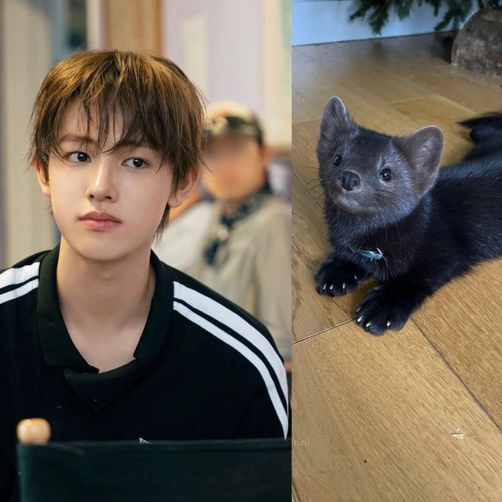 Profile Picture of ✧ (@renjun_16) on Tiktok