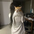 Profile Picture of Kristopher Ludwig (@Kristopher-Ludwig) on Facebook