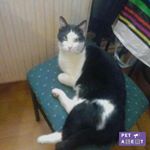 Profile Picture of Isabelle Régnier (@isajos59) on Instagram