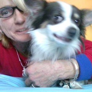 Profile Picture of Carol Maloney (@CarolMa19580161) on Twitter