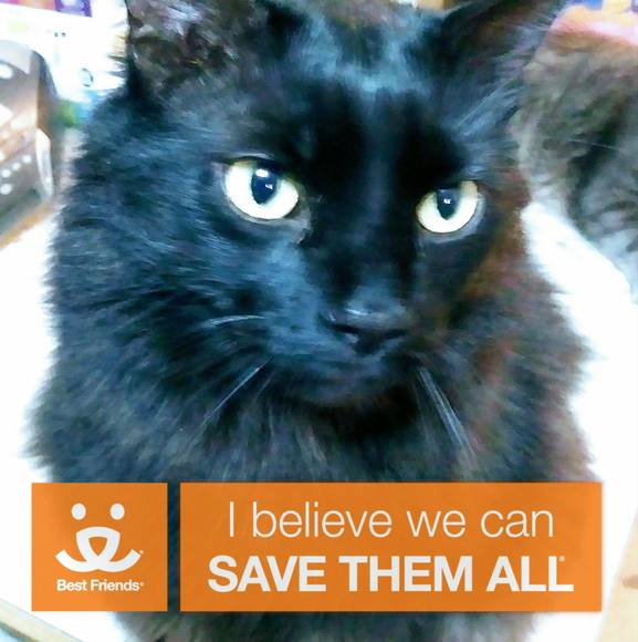 Profile Picture of Josephine Rubino (@jrubino221) on Poshmark