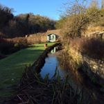 Profile Picture of Joy Reeves (@just_joyr) on Instagram