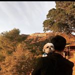 Profile Picture of Eliot Lee (@l_eliotlee_l) on Instagram