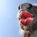 Profile Picture of Andrew Mariano (@andrew.mariano.2024) on Facebook