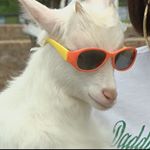 Profile Picture of Evan (@evanhecht_) on Instagram